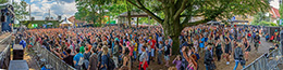 Reggae Jam 2015
