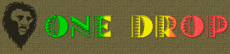 Logo One Drop Radioshow